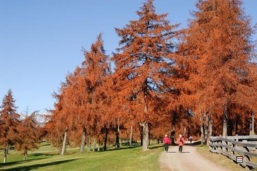 Rastlhof Villa Meltina Bagian luar foto
